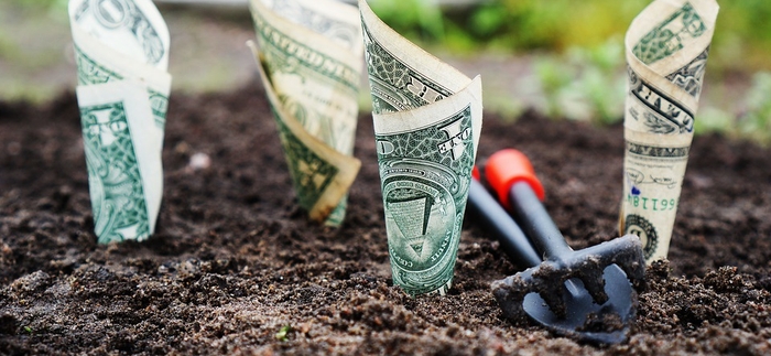 money-intstrateguerre